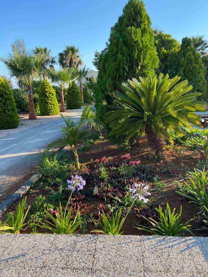Cocoon Luxury Villa In Coral Bay-3 Min To Beach Peyia Exterior foto